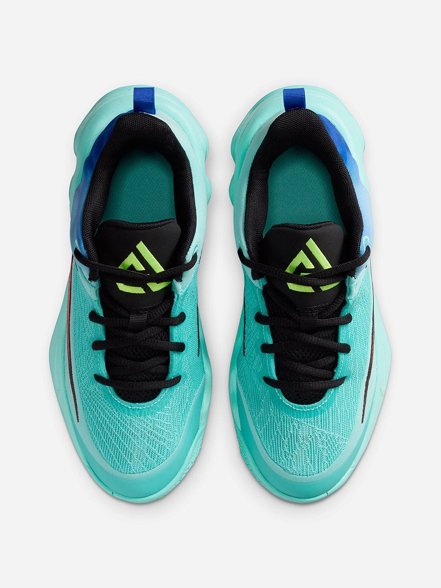 Giannis Immortality 4 GS Shoes