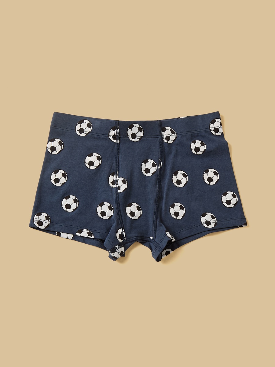 Pack of 5 - Assorted Trunks