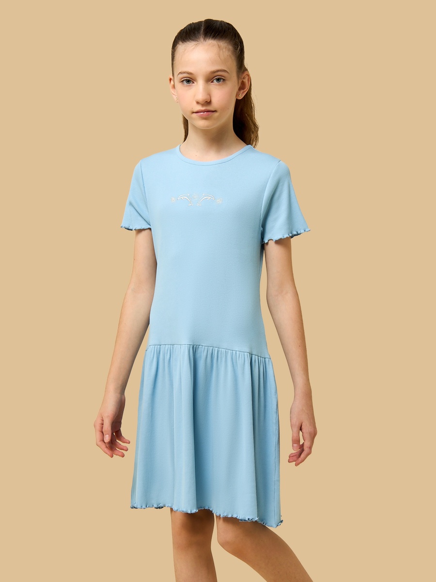 Embroidered Drop Waist Cotton Dress