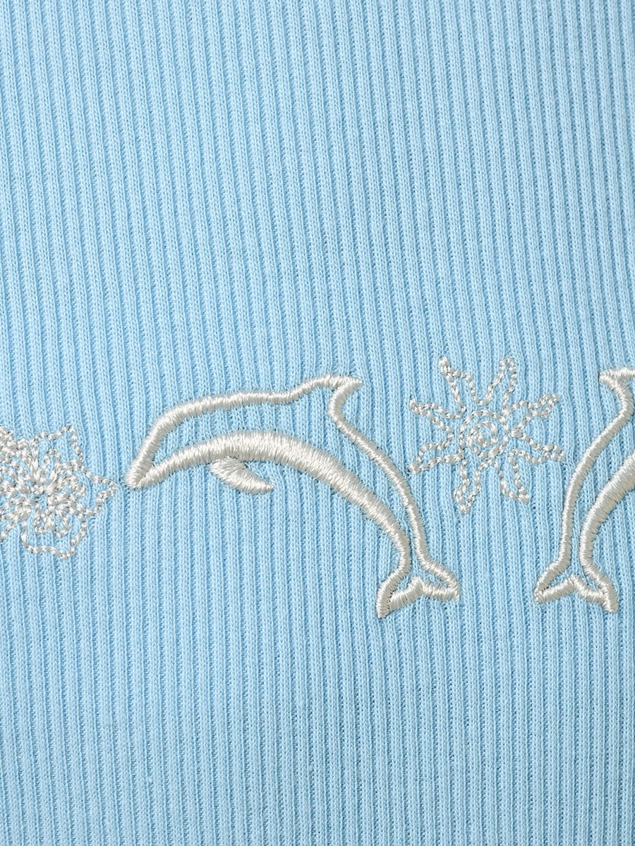 Embroidered Drop Waist Cotton Dress