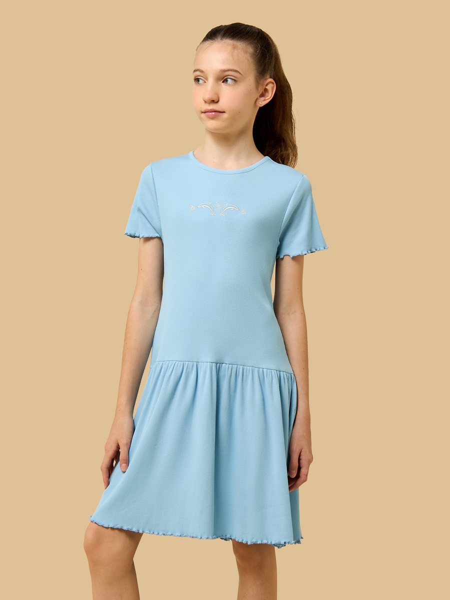 Embroidered Drop Waist Cotton Dress