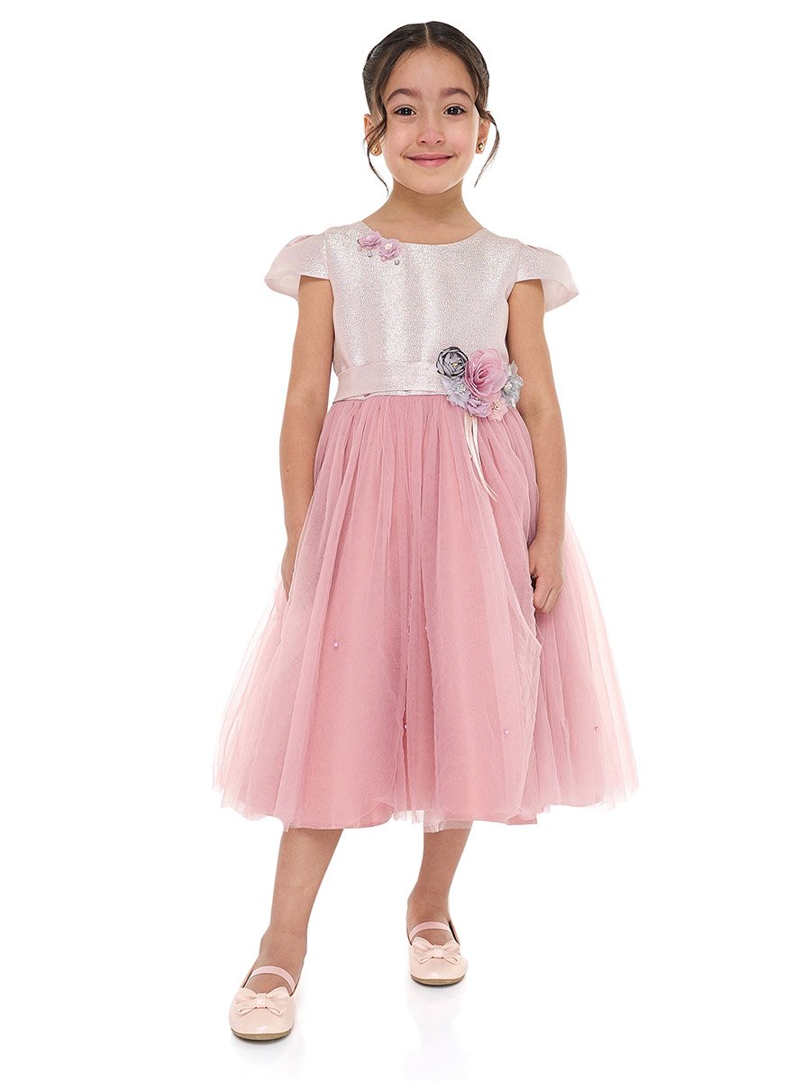 Girls Flower Applique Mesh Insert Festive Dress