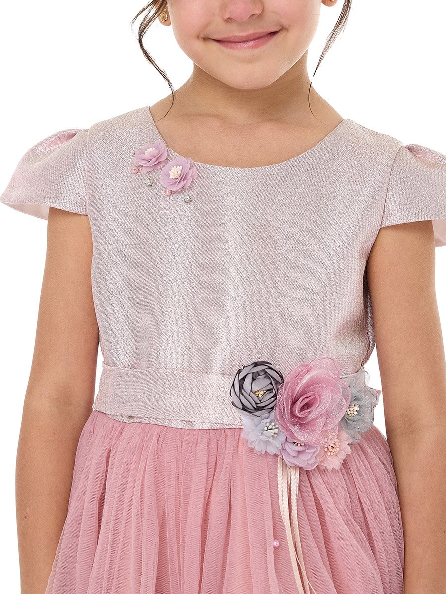 Girls Flower Applique Mesh Insert Festive Dress
