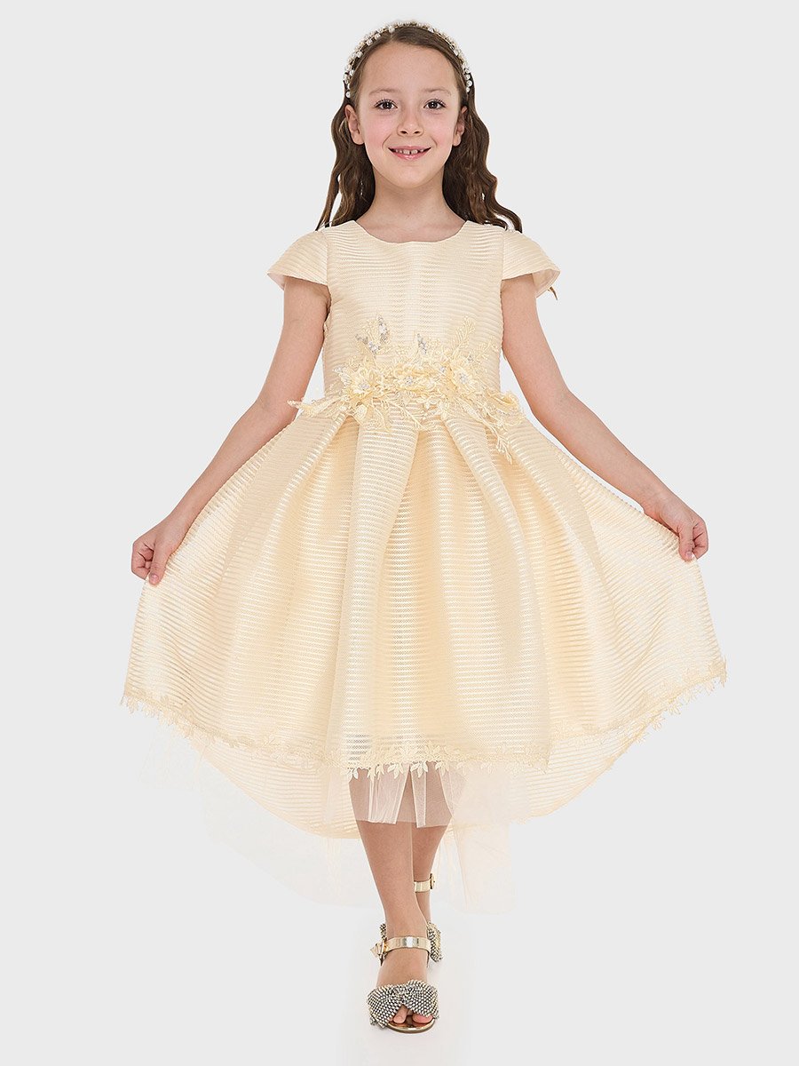 Girls Flower Applique Mesh Insert Festive Dress