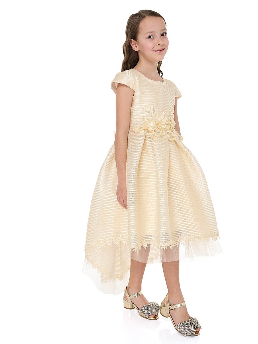 Girls Flower Applique Mesh Insert Festive Dress