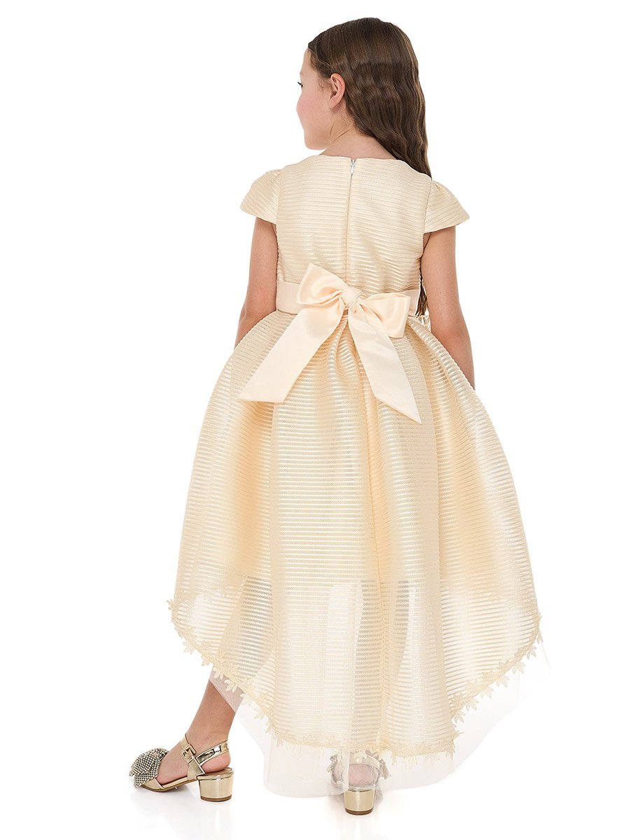 Girls Flower Applique Mesh Insert Festive Dress