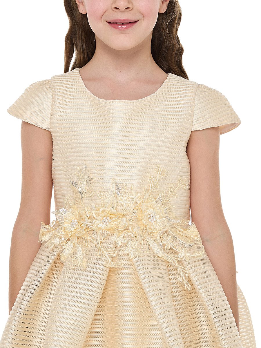 Girls Flower Applique Mesh Insert Festive Dress
