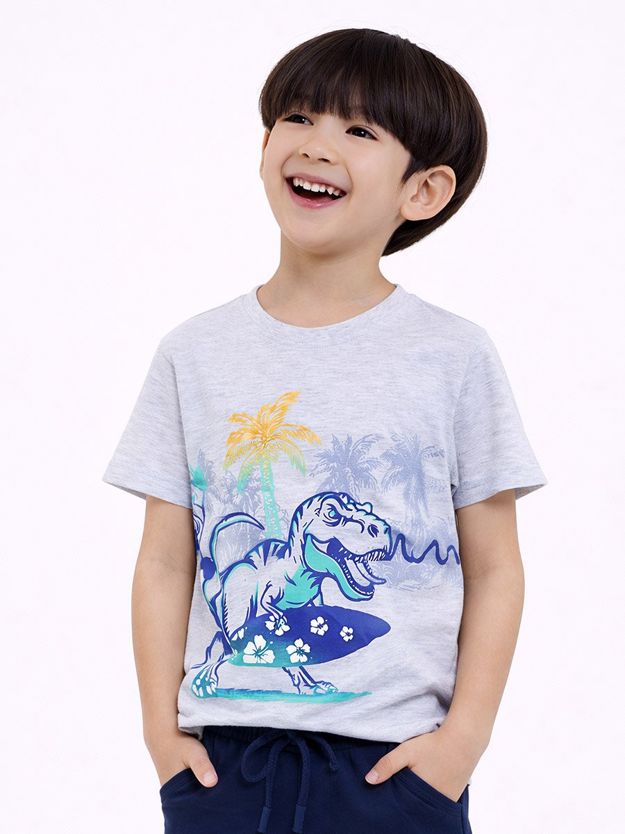 Boys Dino Surfer T-Shirt and Shorts Set