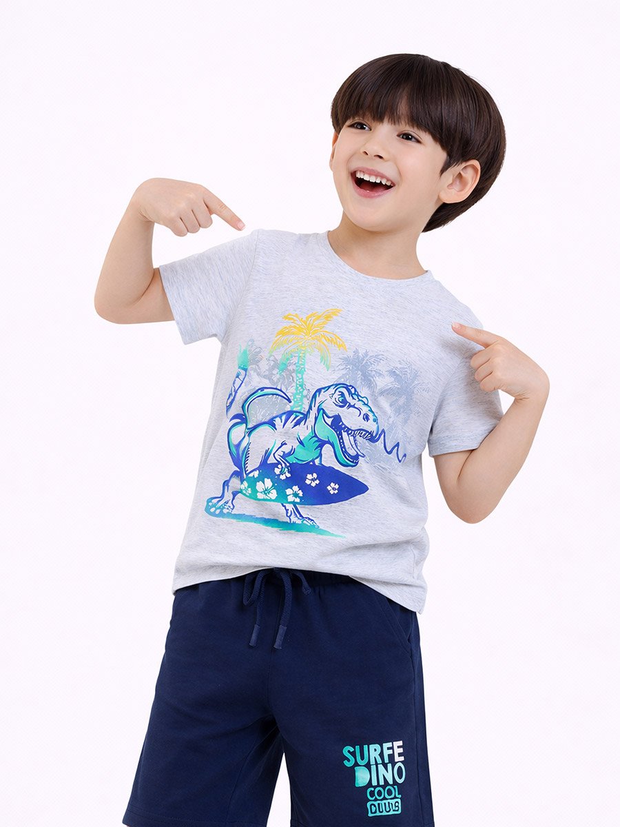 Boys Dino Surfer T-Shirt and Shorts Set