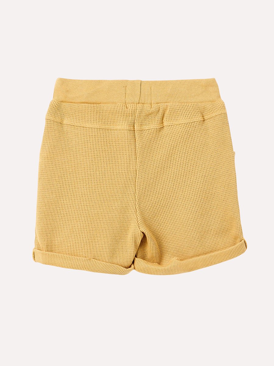 Boys Solid Knit Shirt and Roll-Cuff Shorts Set