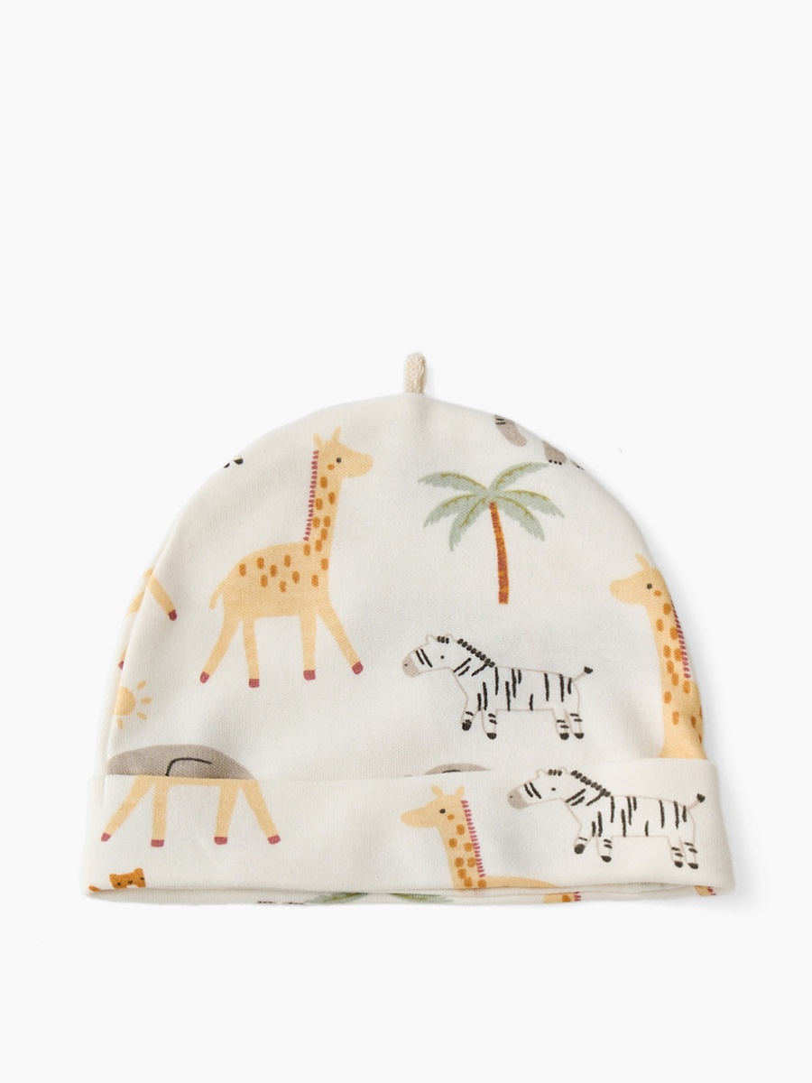 Pack of 2 Cap with Assorted Design