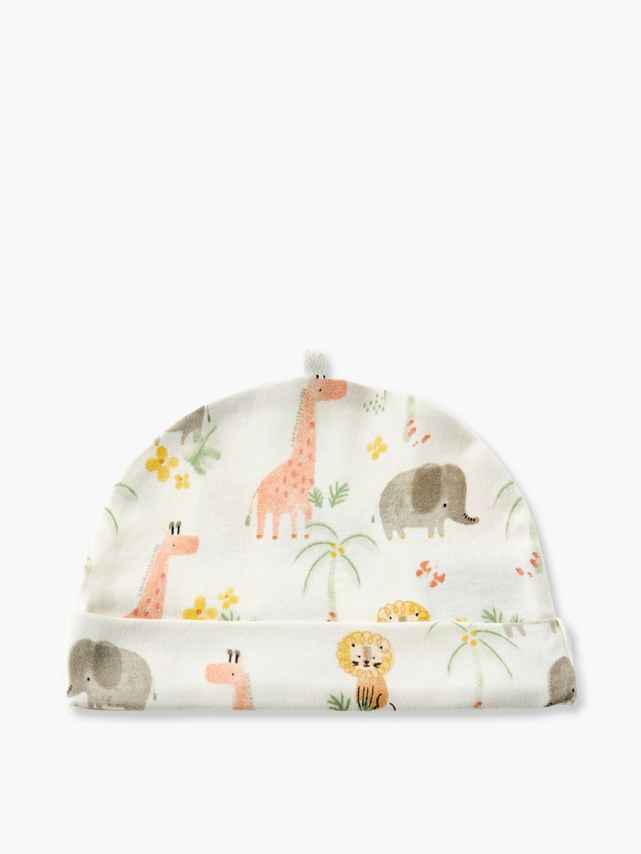 Pack of 5 Cap with Rolled Hem