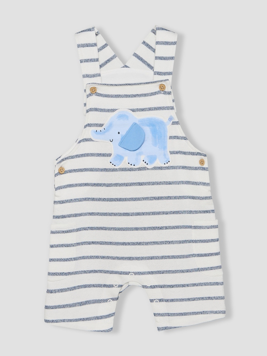 Crew Neck Short Sleeves T-Shirt and Dungaree Set with Elephant Applique