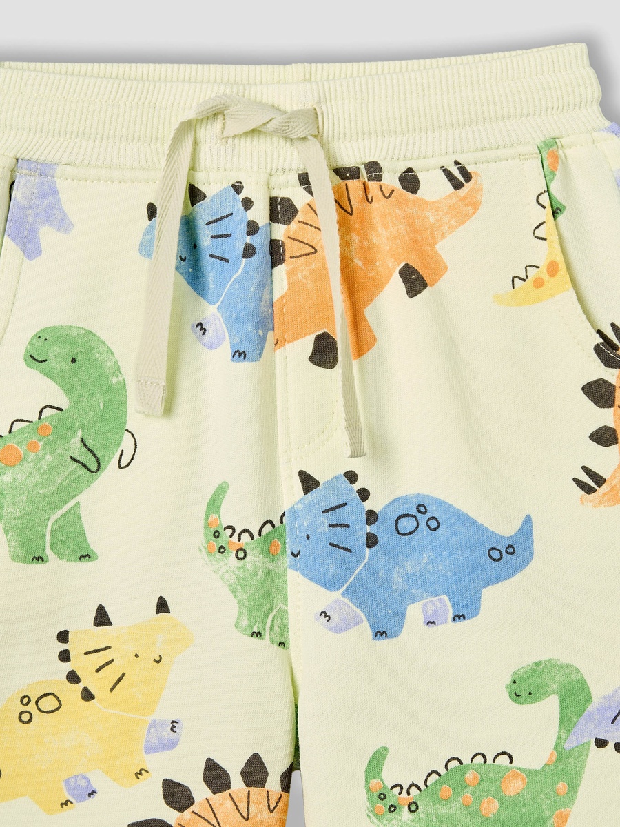Drawstring Waist Shorts with Dinosaur Print