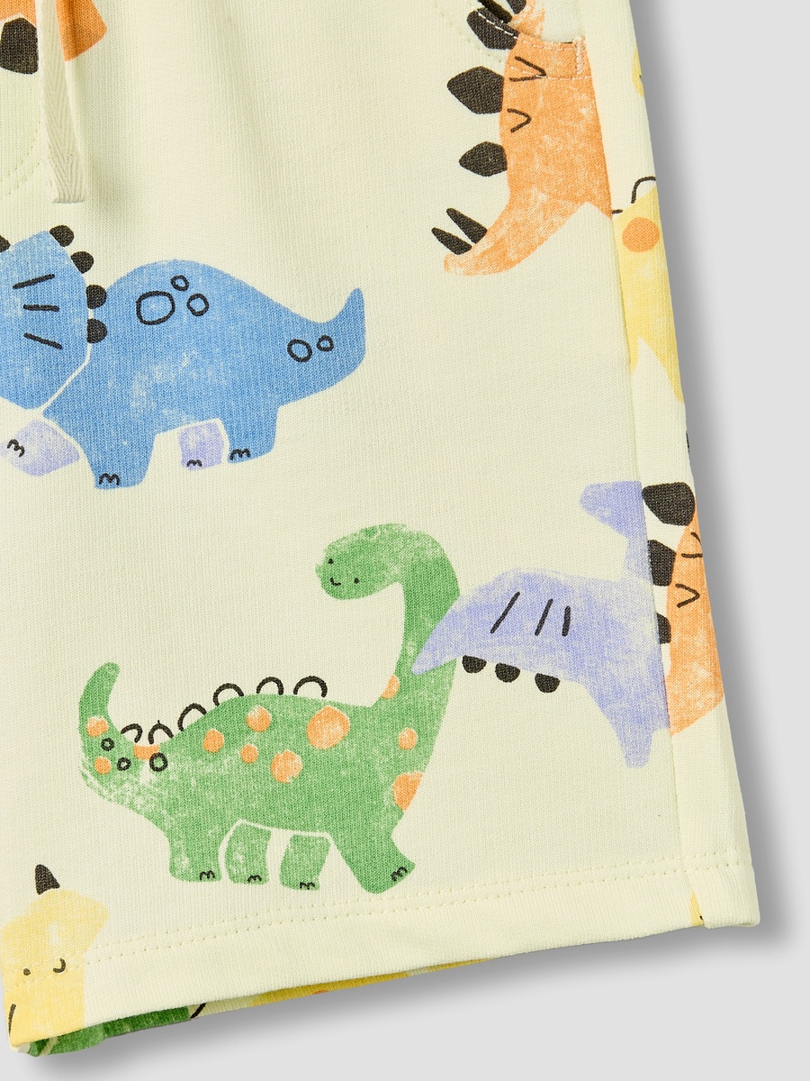Drawstring Waist Shorts with Dinosaur Print
