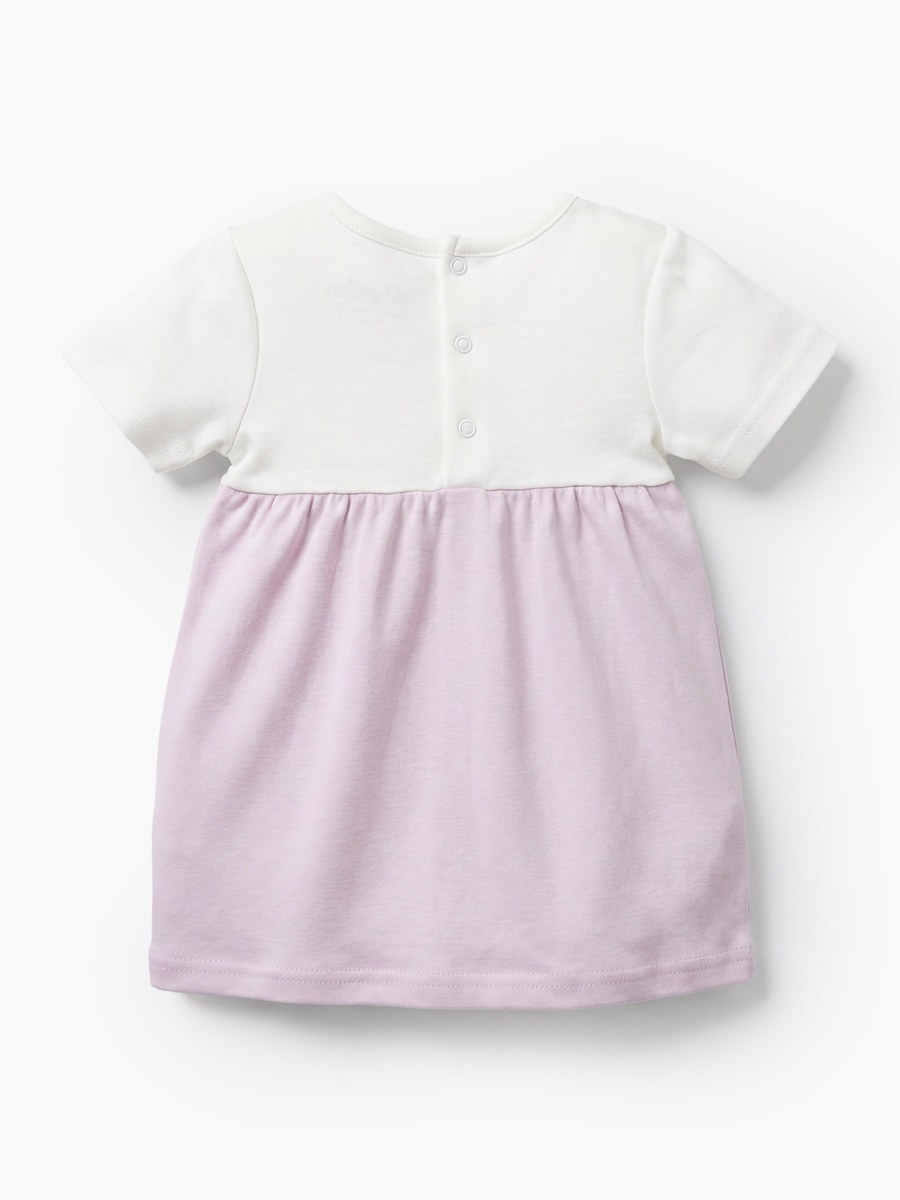 Round Neck Short Sleeves Knee Length A-Line Dress with Floral Embroidery