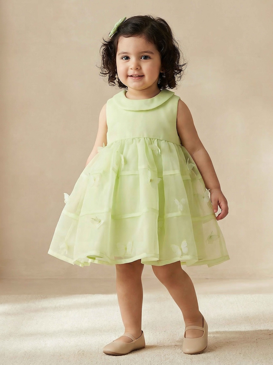 Round Neck Sleeveless A-Line Dress with Butterfly Applique Detail