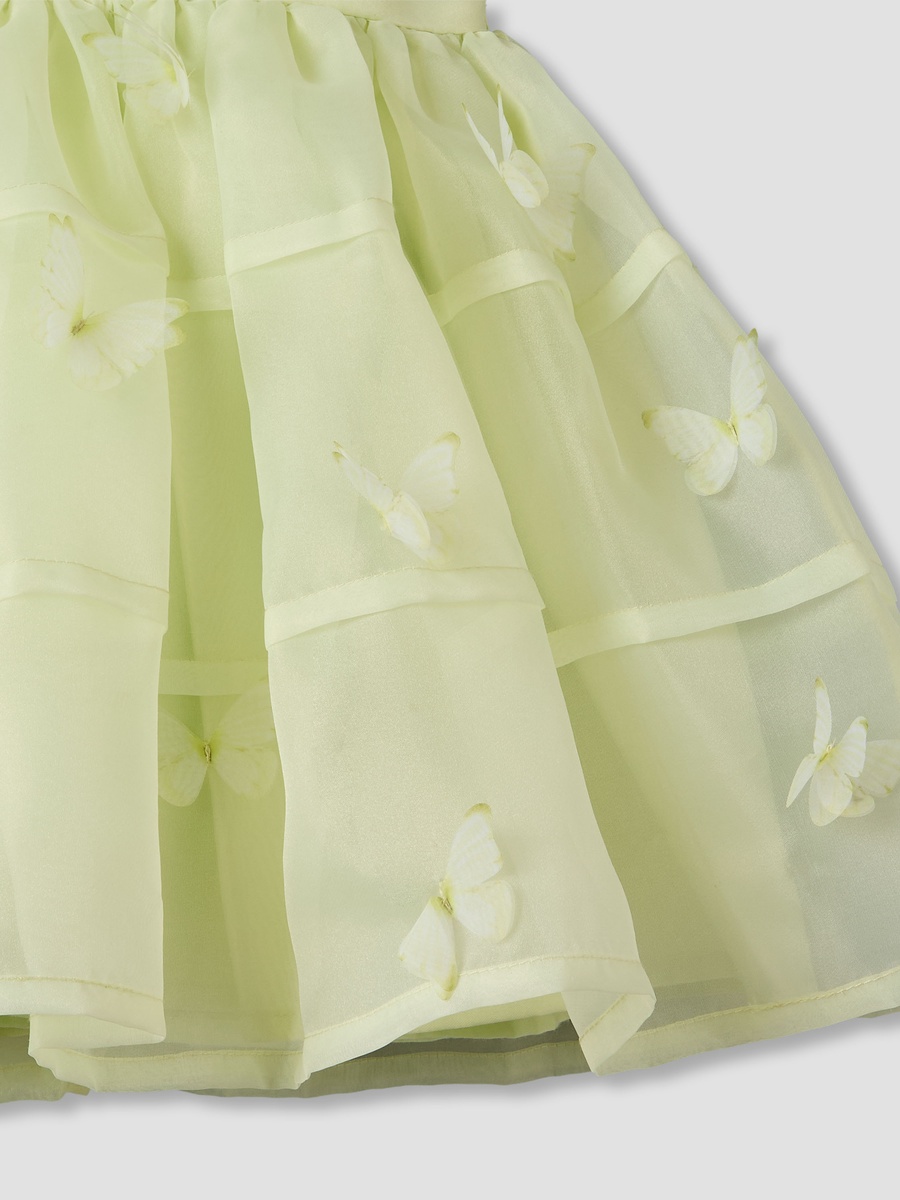 Round Neck Sleeveless A-Line Dress with Butterfly Applique Detail