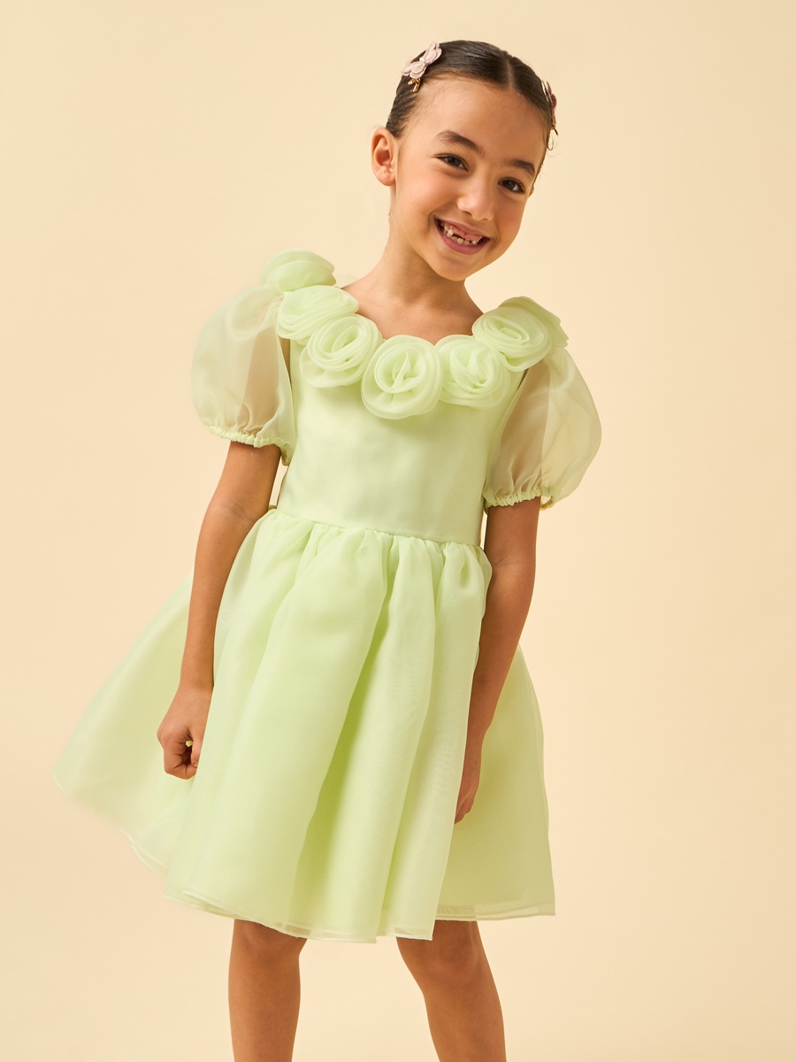 Round Neck Short Sleeves Dress with Floral Applique