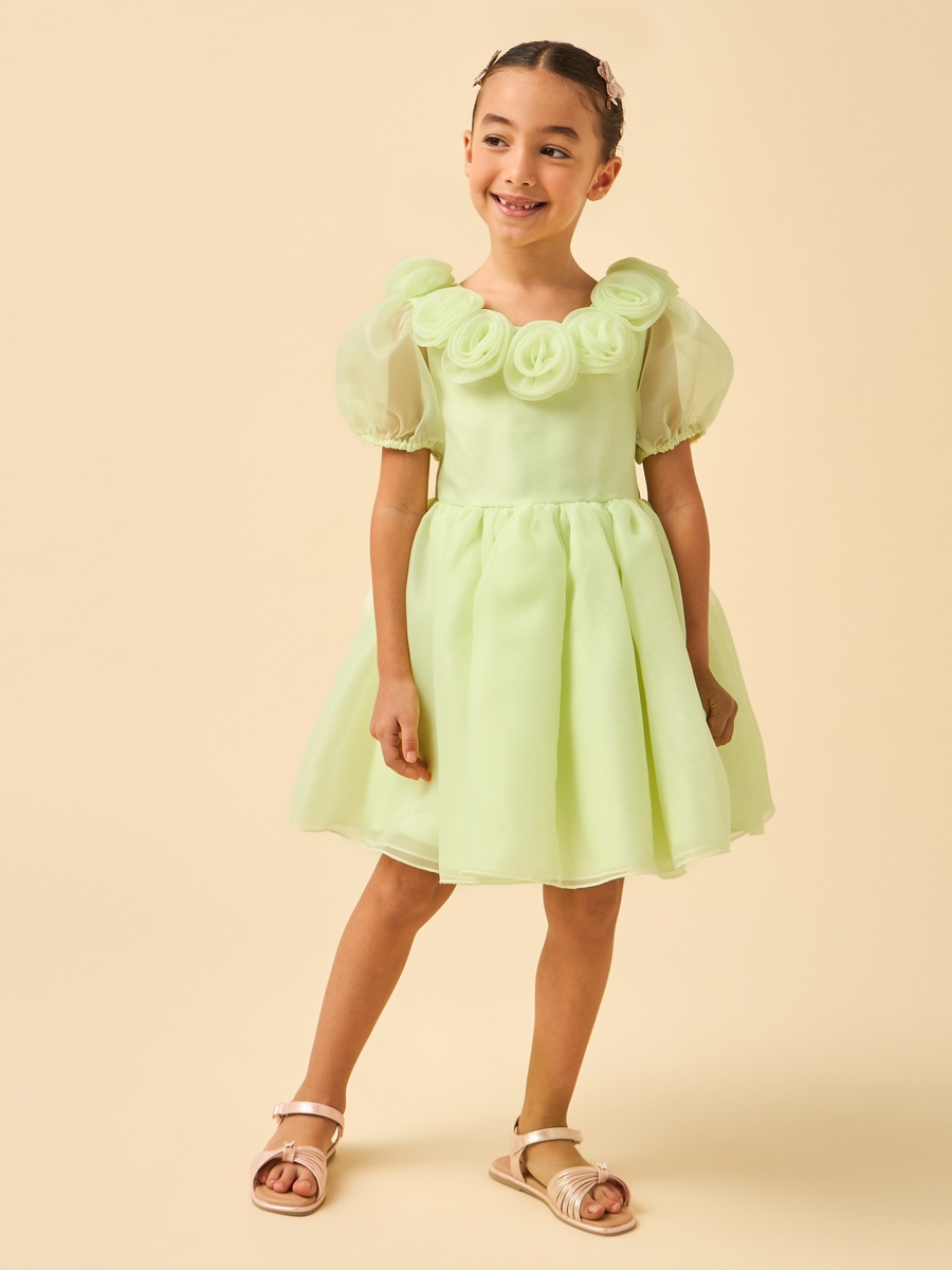 Round Neck Short Sleeves Dress with Floral Applique