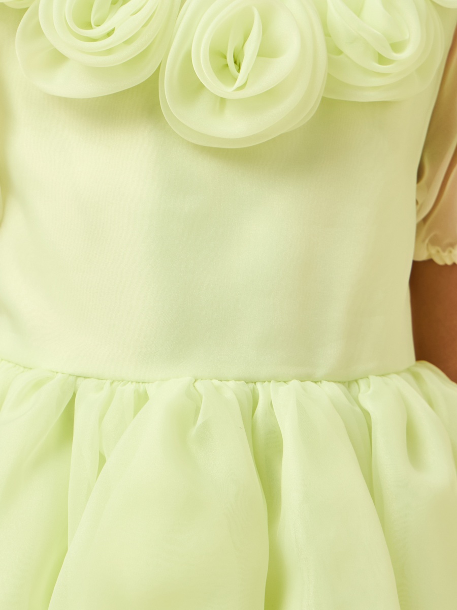 Round Neck Short Sleeves Dress with Floral Applique