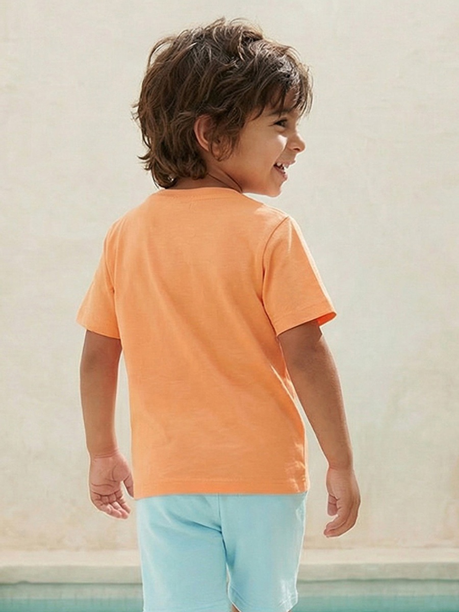 Crew Neck Short Sleeves T-Shirt with Shark Print