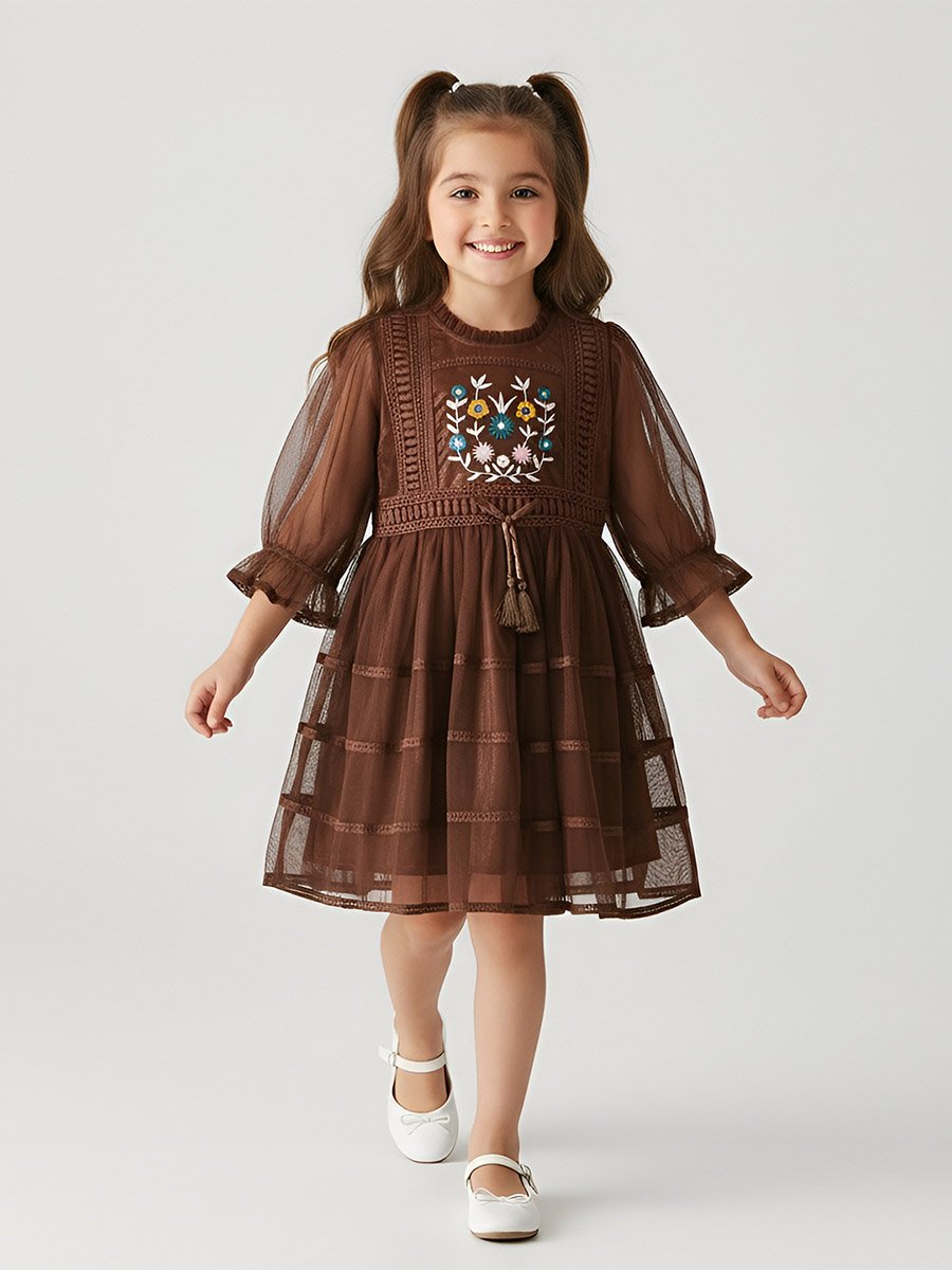Girls Mesh Embroidered Dress Long Sleeves and Tassel Belt