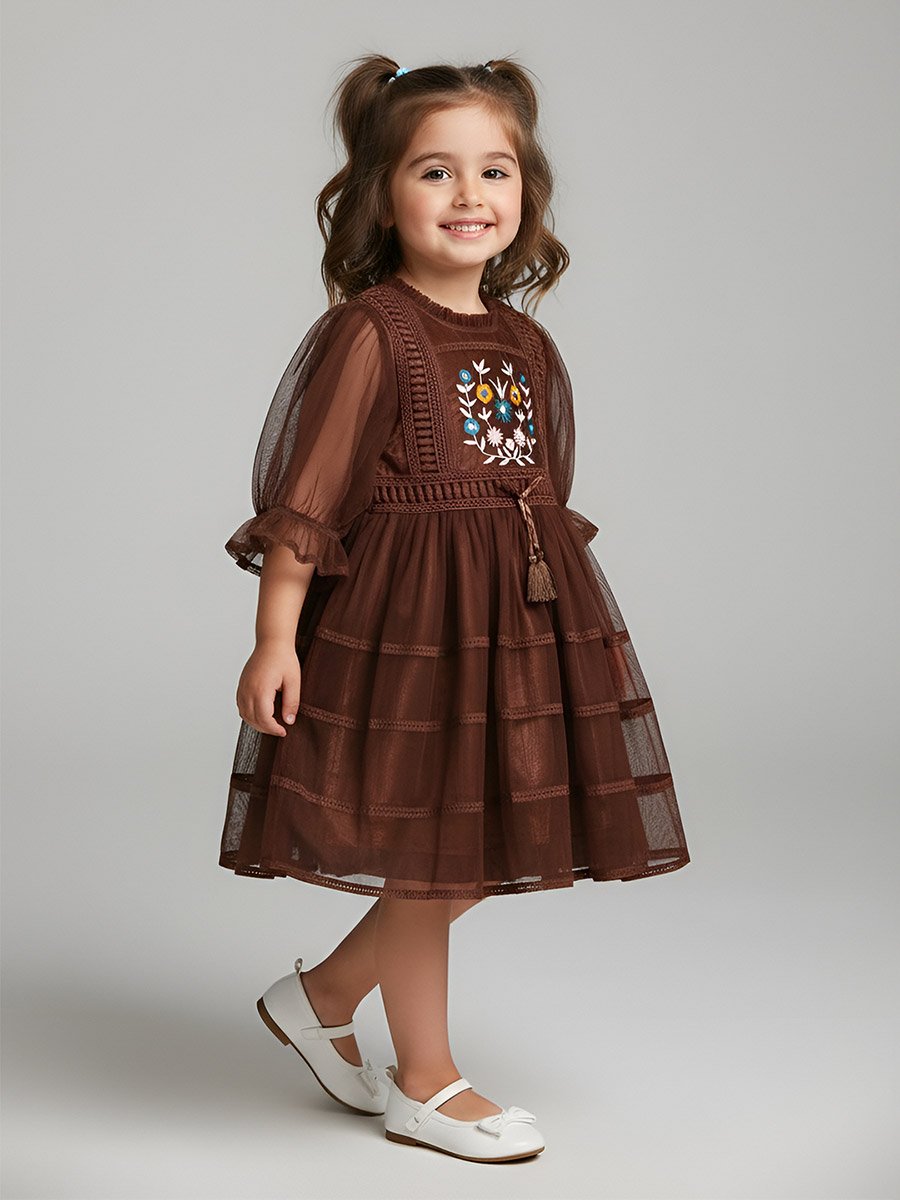 Girls Mesh Embroidered Dress Long Sleeves and Tassel Belt