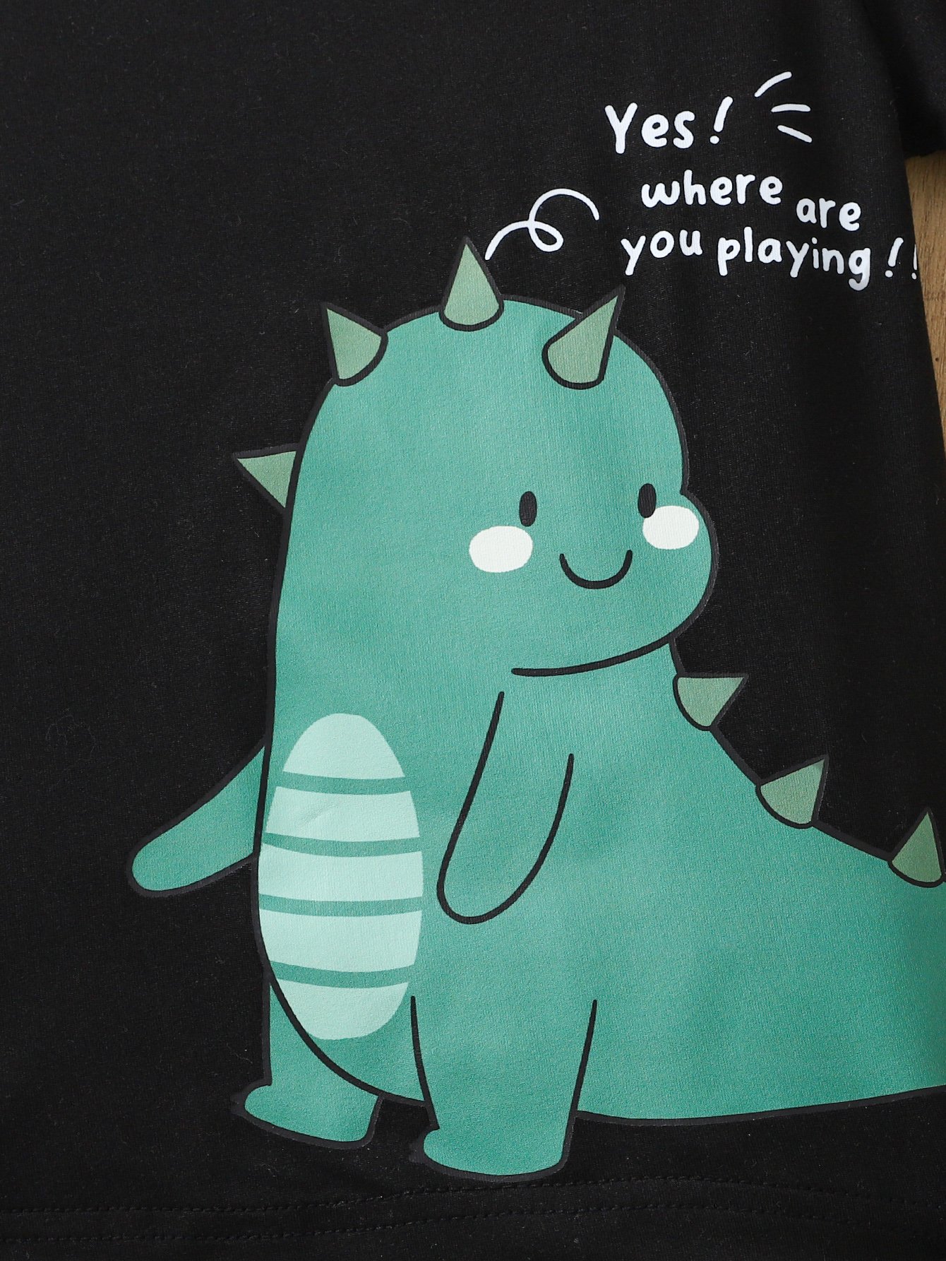 Boys Dinosaur Print Short Sleeve Top and Shorts Set