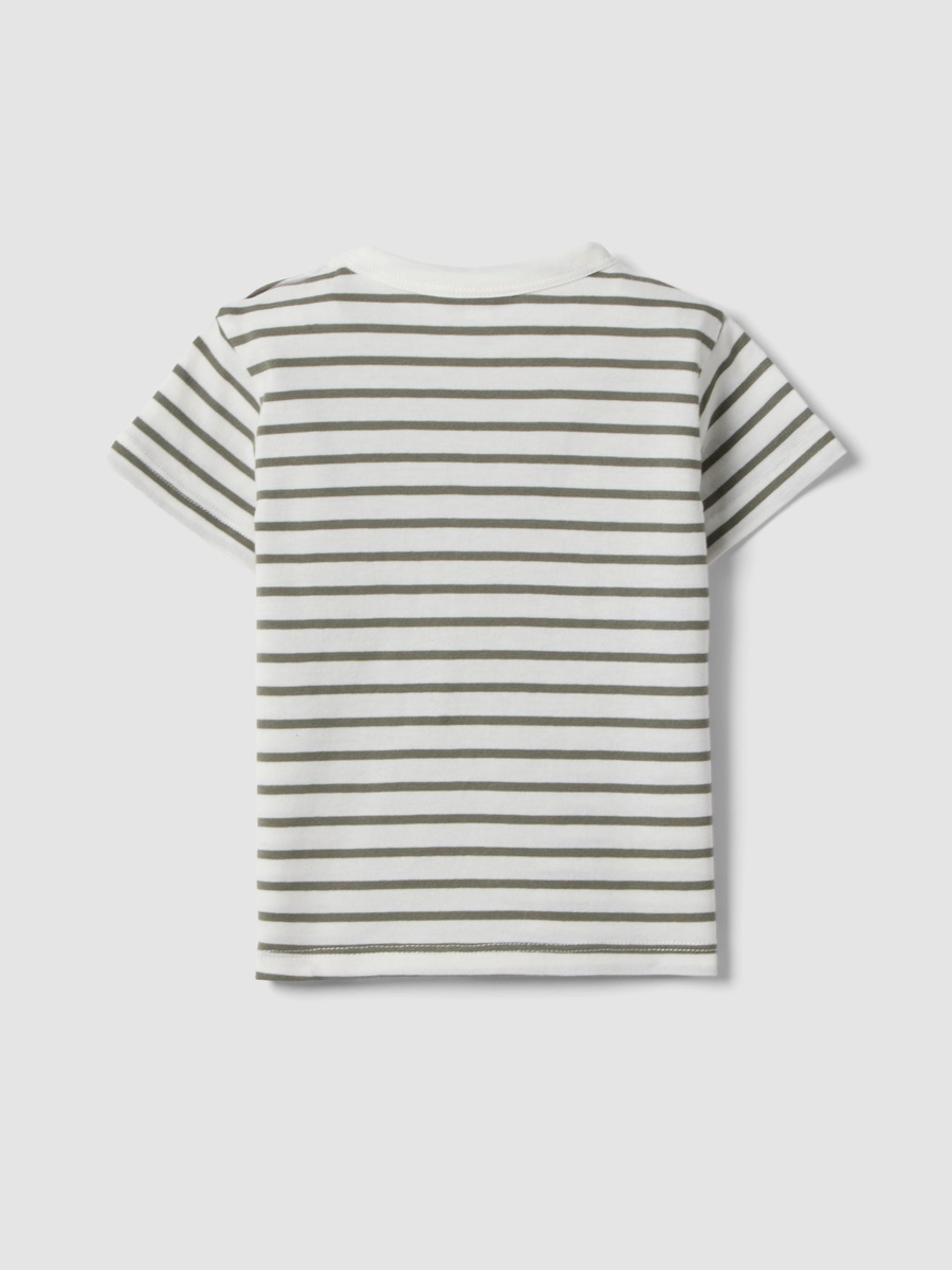 Boys Cotton Striped T-Shirt with Dog Pocket