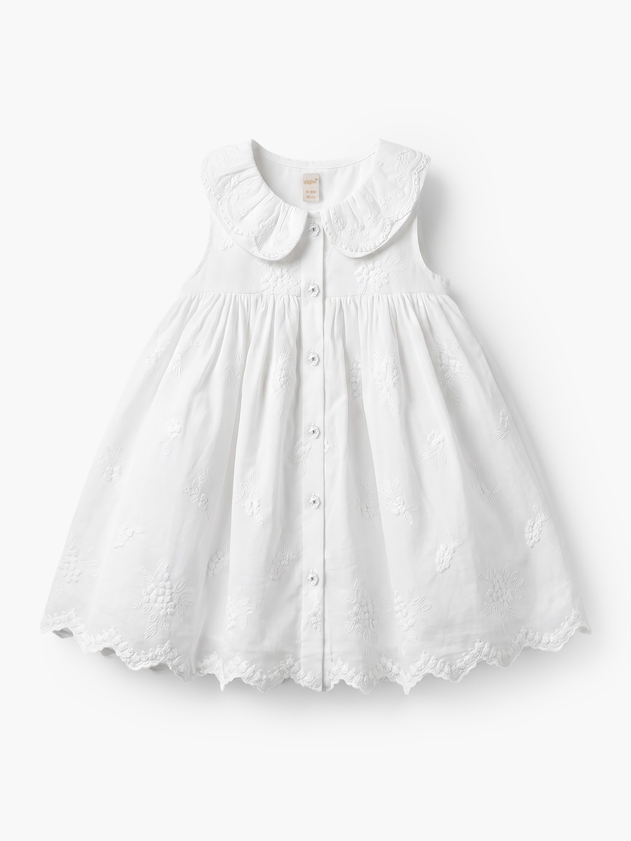 Collared Sleeveless Knee Length A-Line Dress with Embroidery