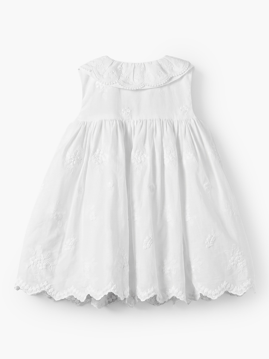 Collared Sleeveless Knee Length A-Line Dress with Embroidery