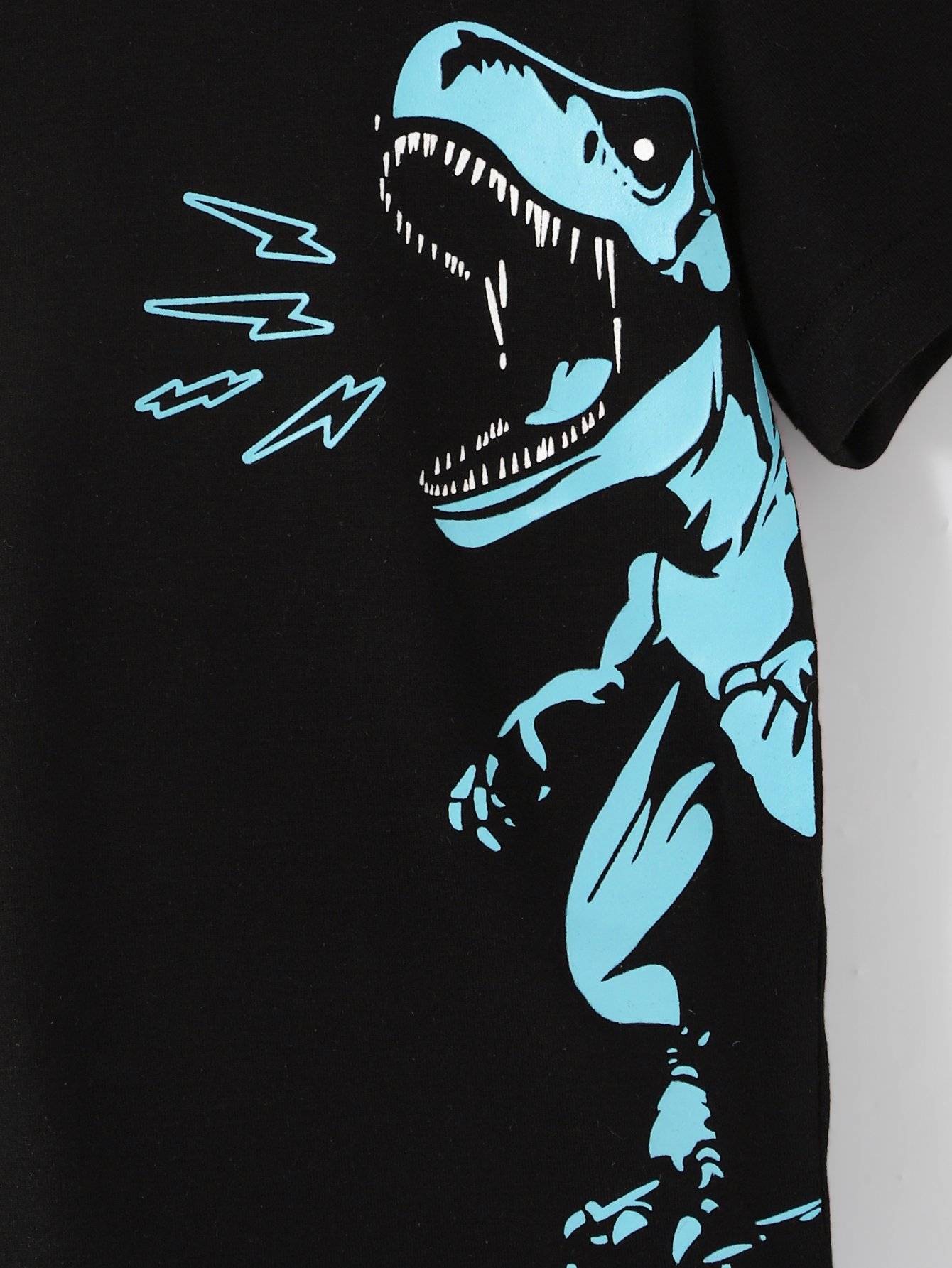Boys Dinosaur Print T-Shirt and Shorts Set