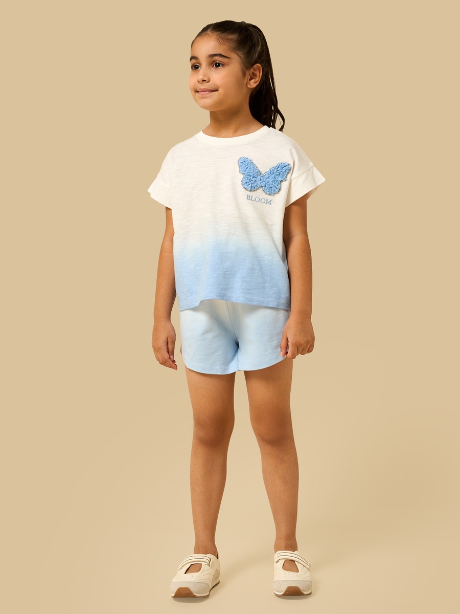Ombre Comfort Fit Cotton Shorts