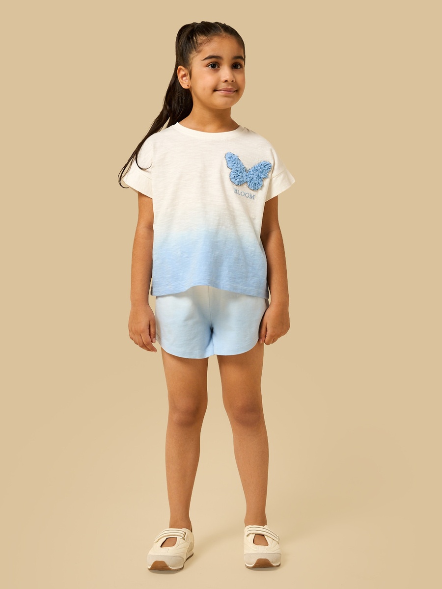 Ombre Comfort Fit Cotton Shorts