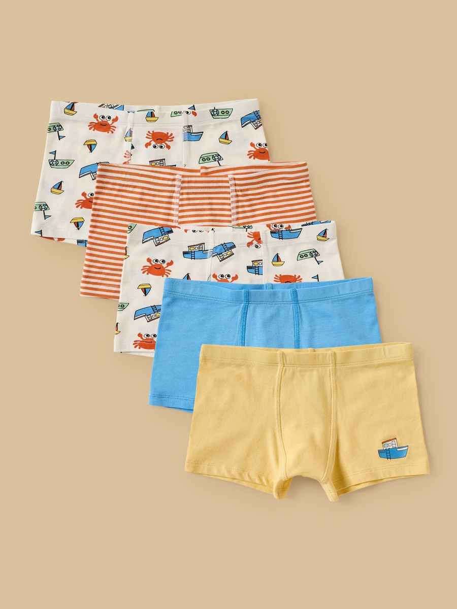 Pack of 5 - Assorted Trunks