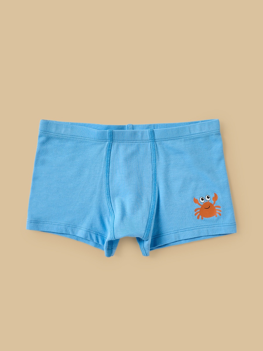 Pack of 5 - Assorted Trunks