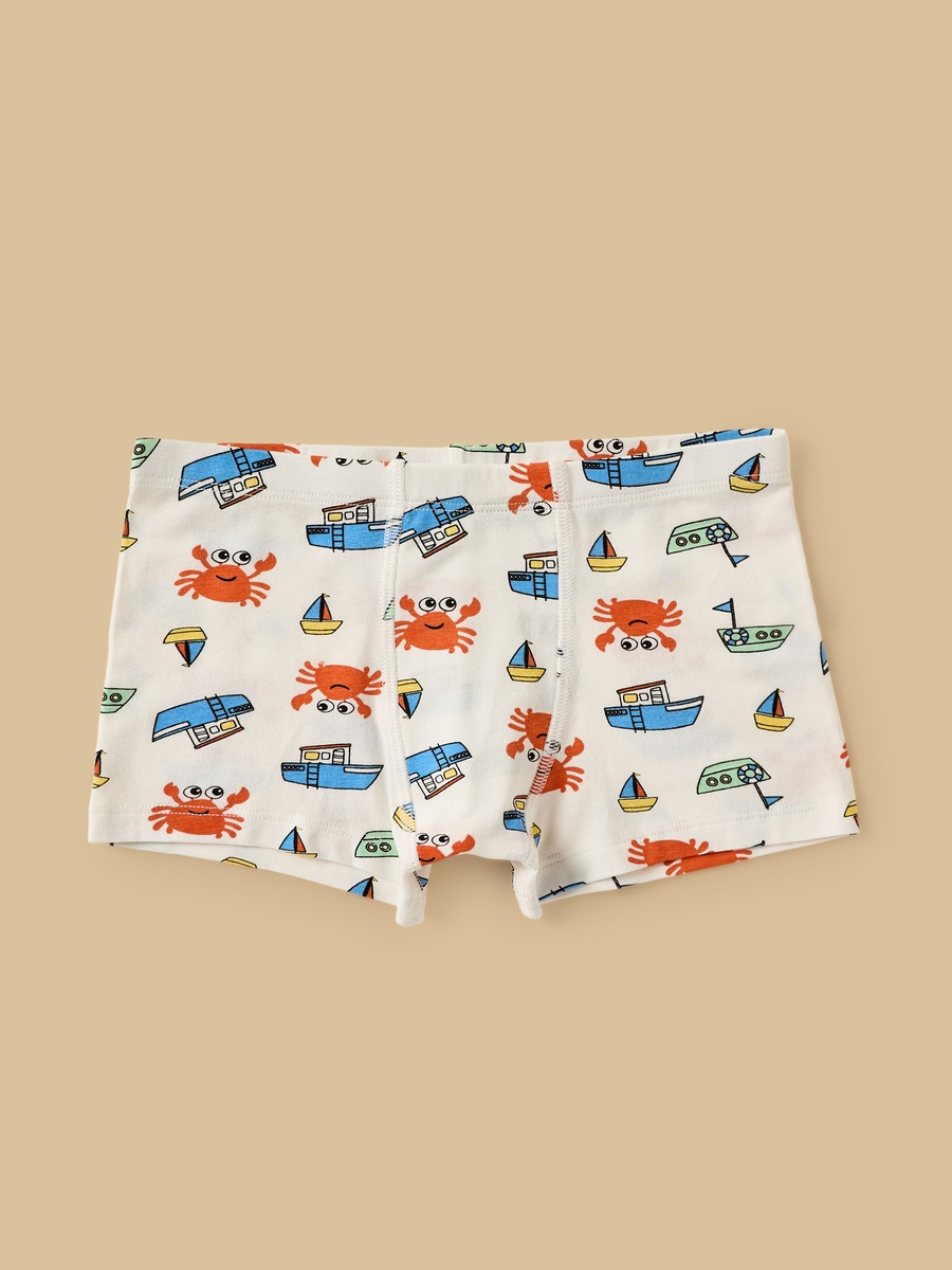 Pack of 5 - Assorted Trunks