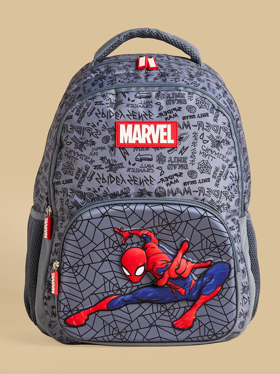 Spider-Man Print Backpack with Adjustable Straps