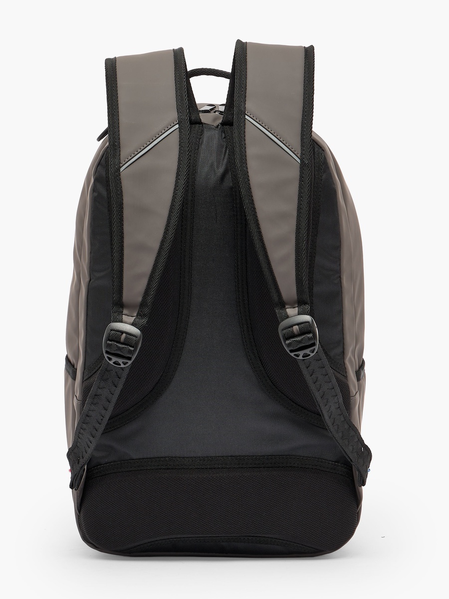 Lion Print Backpack with Padded Straps - 17 inches