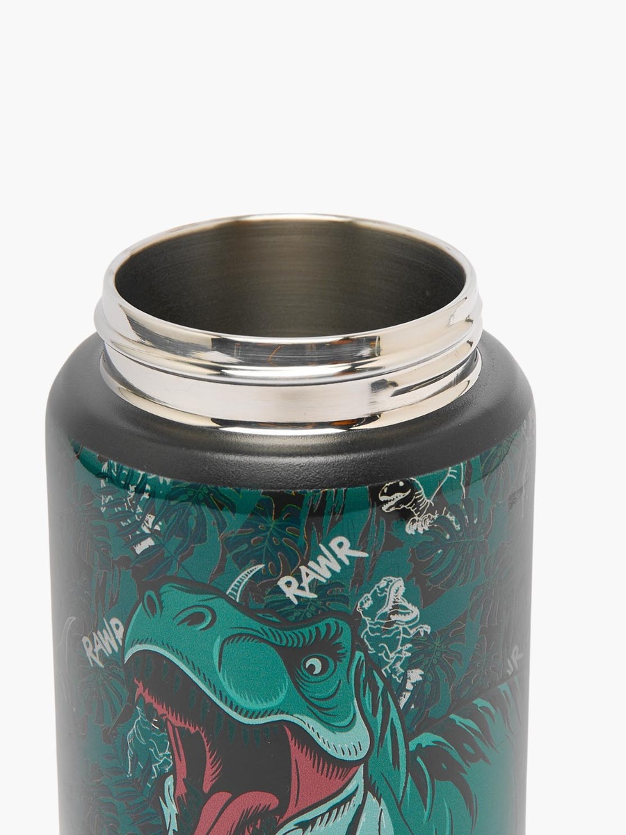 Dinosaur Print Stainless Steel Water Bottle with Flip Spout and Handle