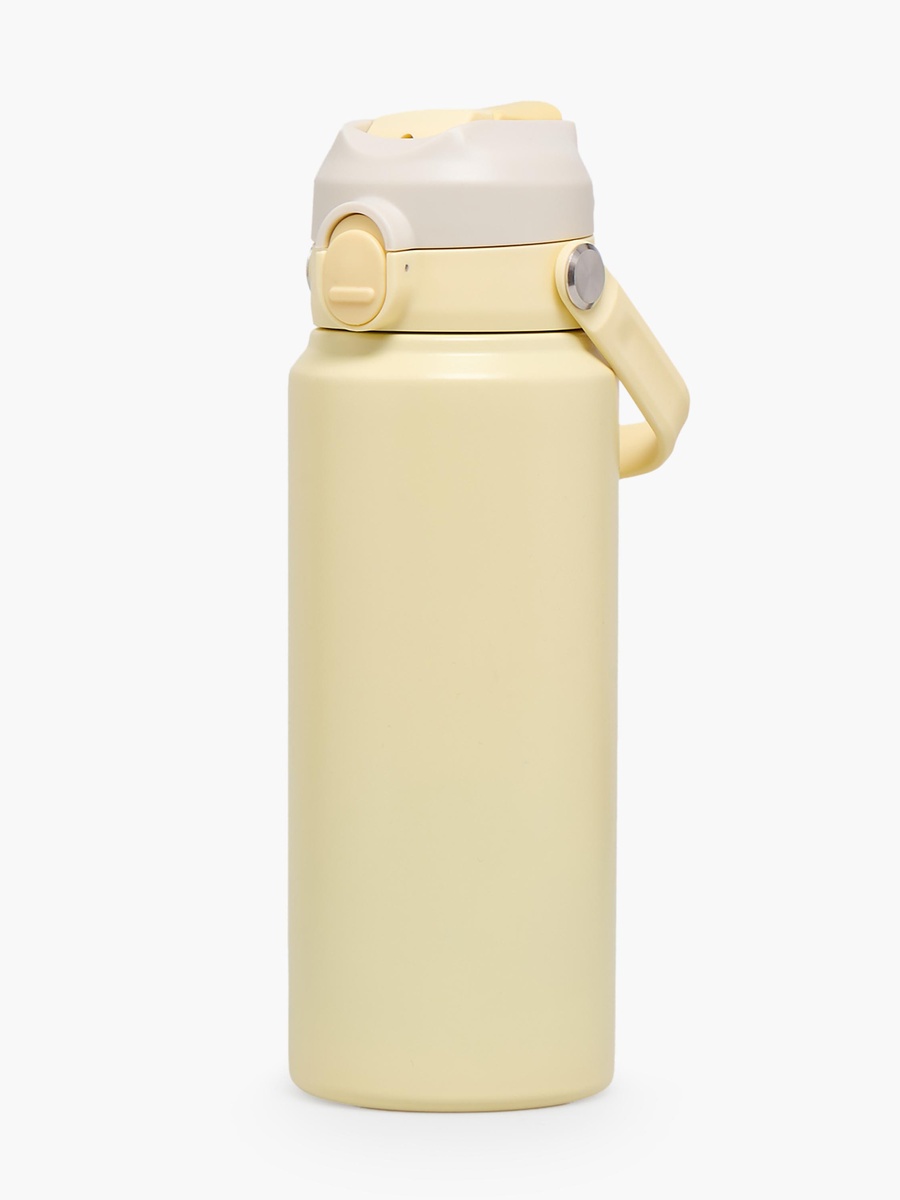 Solid Stainless Steel Water Bottle with Flip Spout and Handle