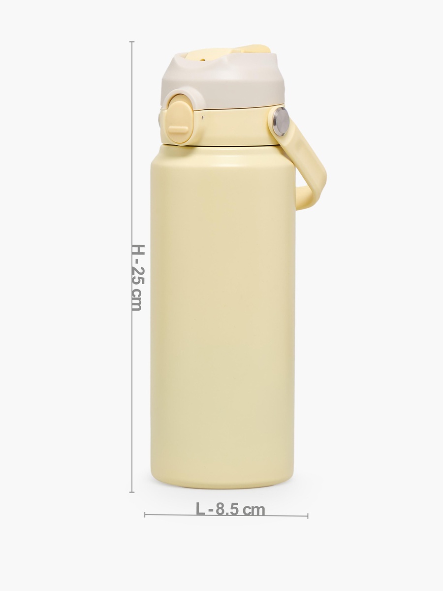 Solid Stainless Steel Water Bottle with Flip Spout and Handle