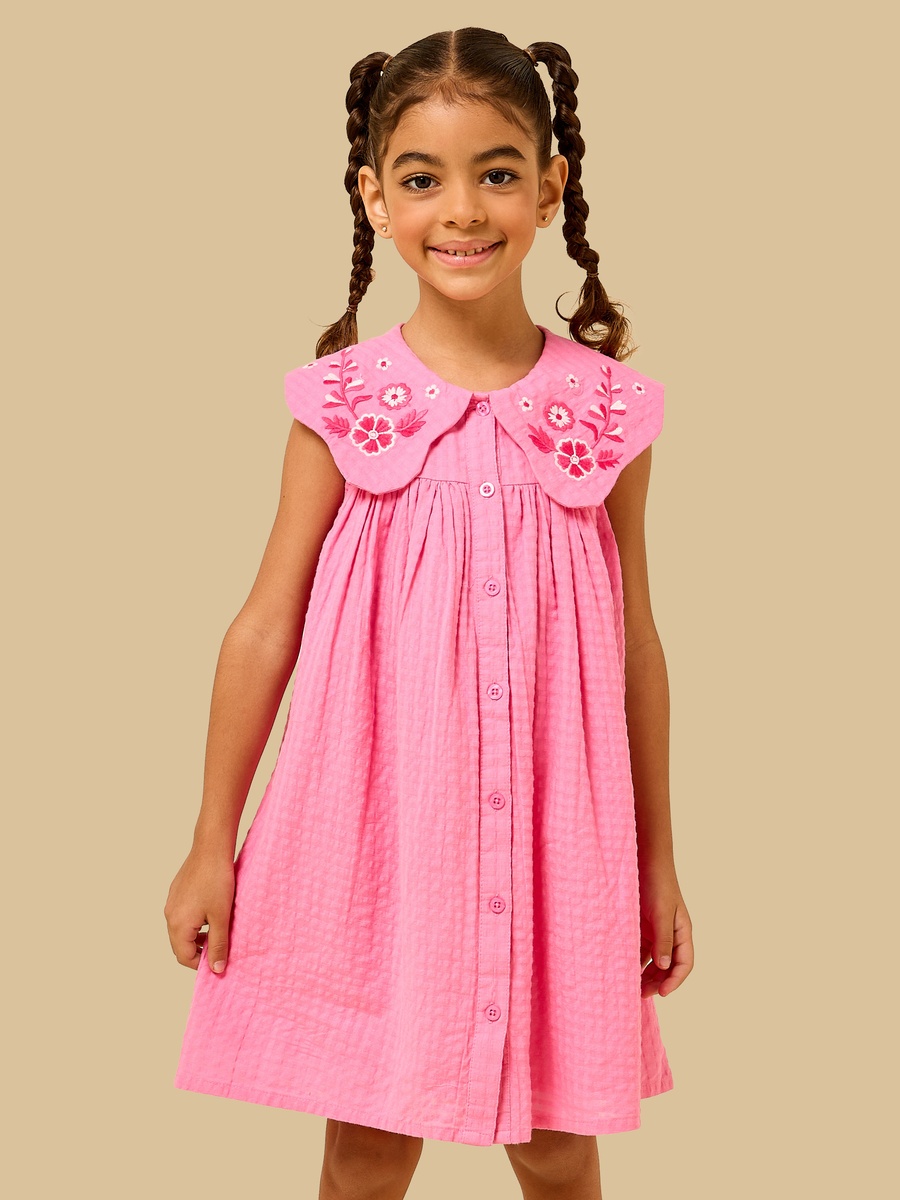 Floral Embroidered Collared Dress