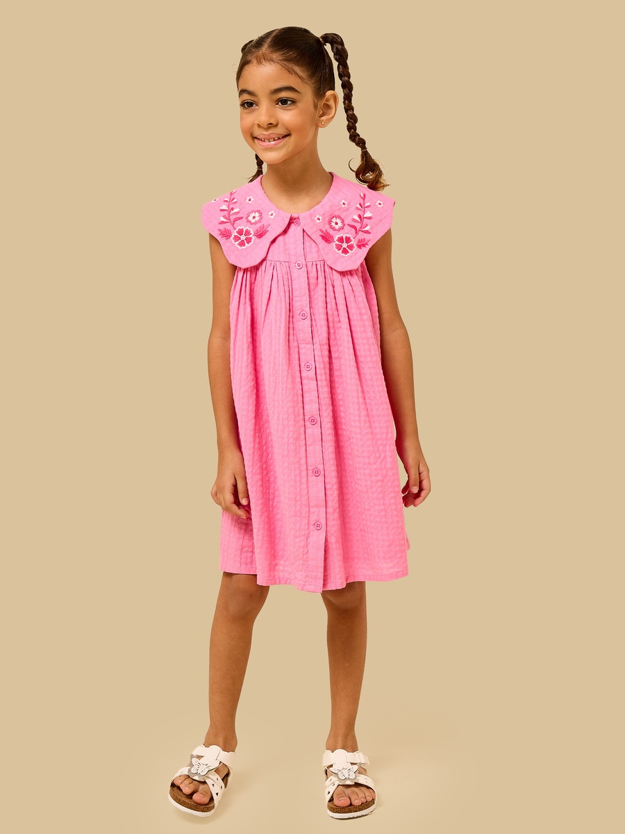 Floral Embroidered Collared Dress