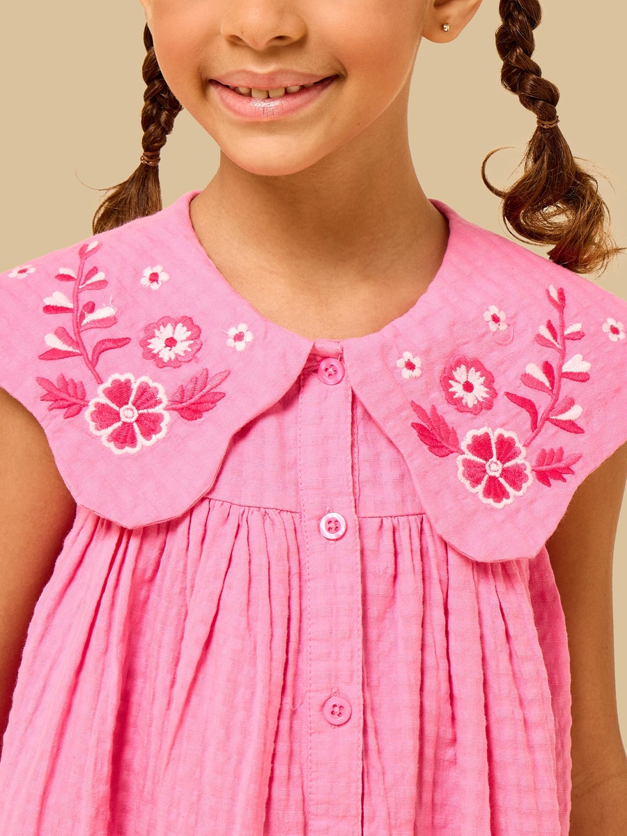 Floral Embroidered Collared Dress