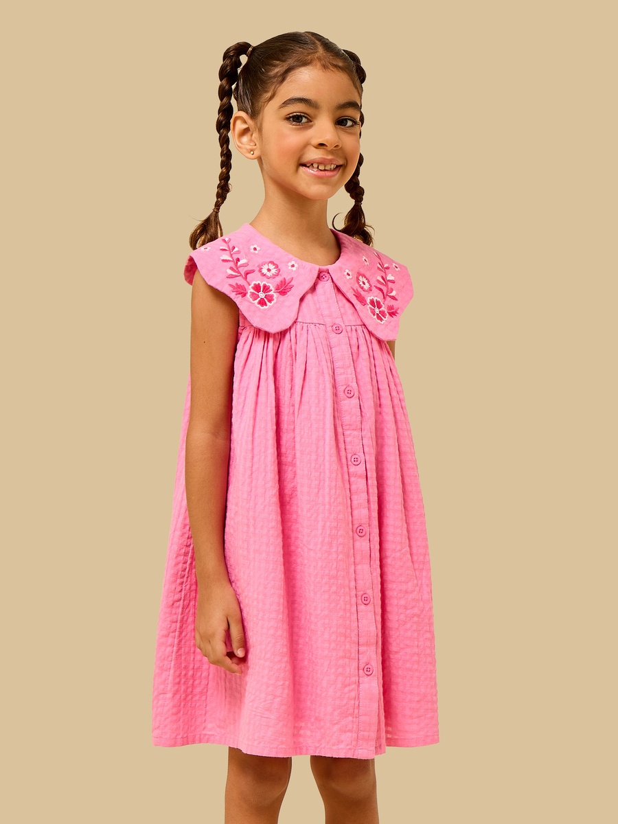 Floral Embroidered Collared Dress