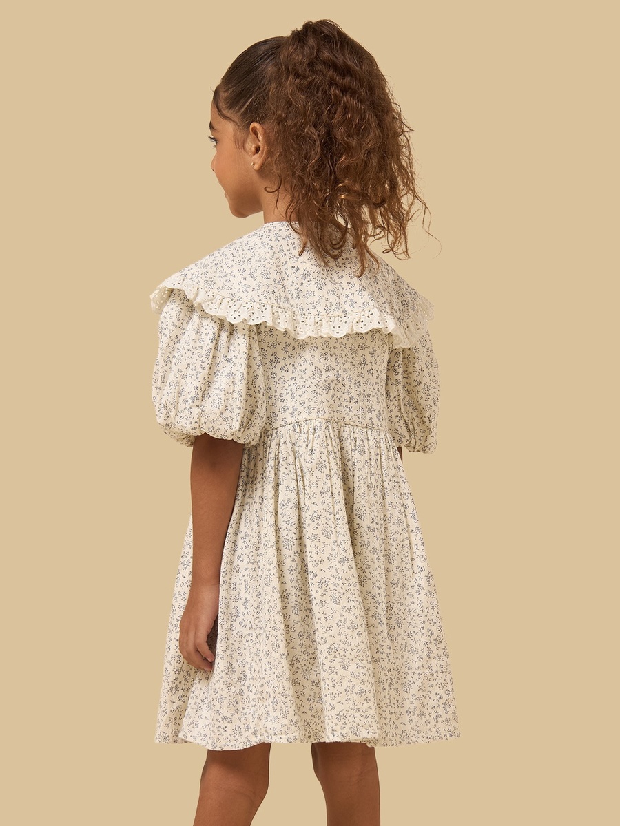 Floral Print Ruffle Collar Dress with Puff Sleeves
