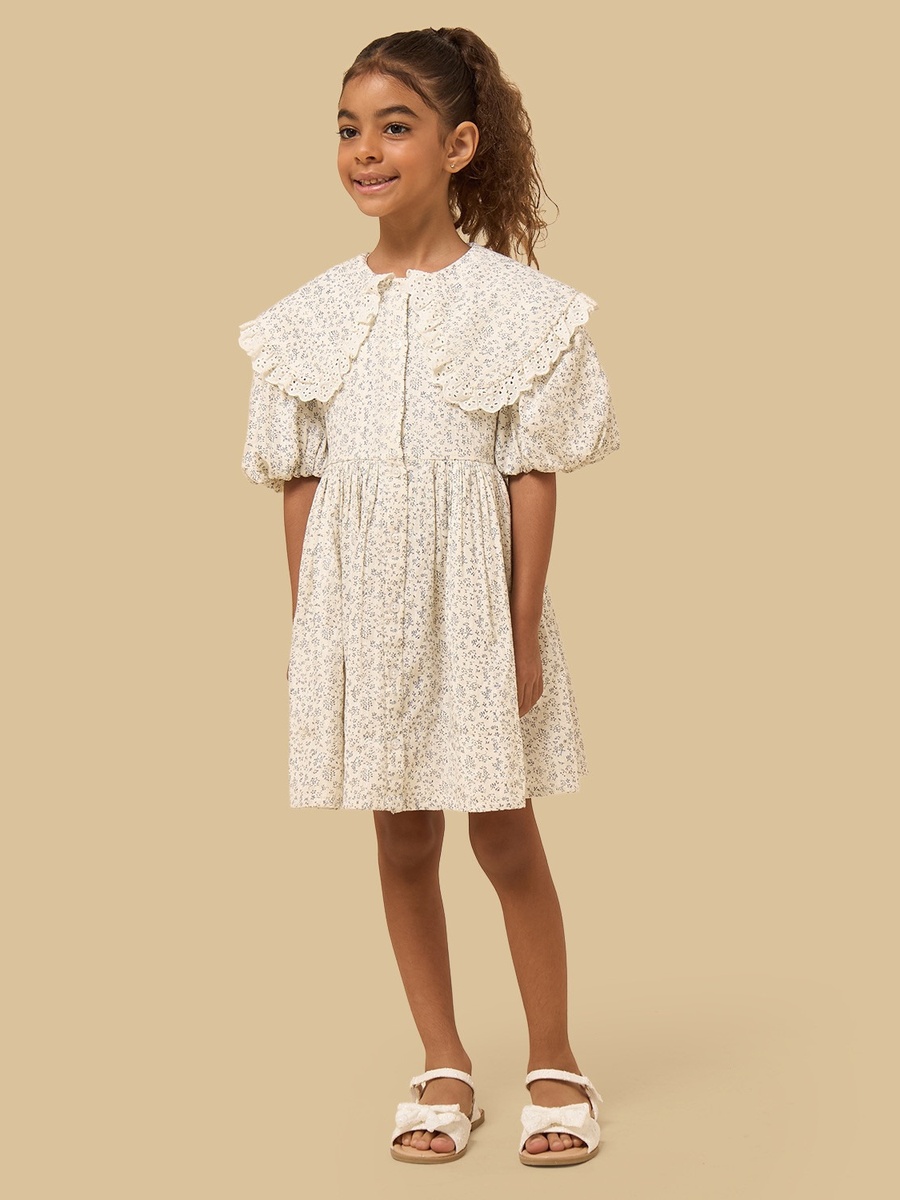 Floral Print Ruffle Collar Dress with Puff Sleeves