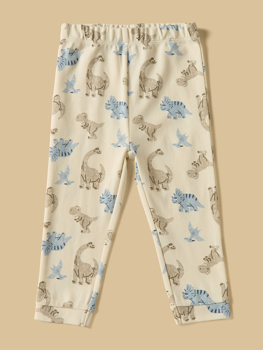 Pack of 2 - Dinosaur Print Cotton Pyjama Set
